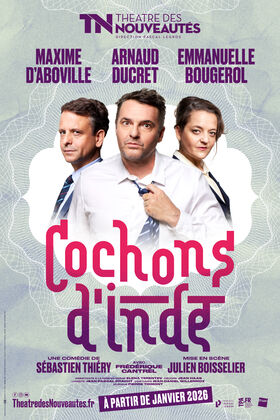 Cochons d'Inde