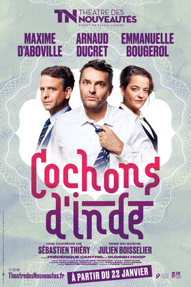 COCHONS D'INDE