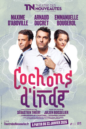 Affiche Cochons d'Inde