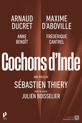 Affiche Spectacle Provisoire Cochons d'Inde