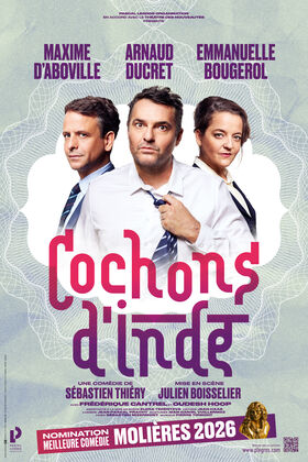 Affiche spectacle Cochons d'Inde Molières