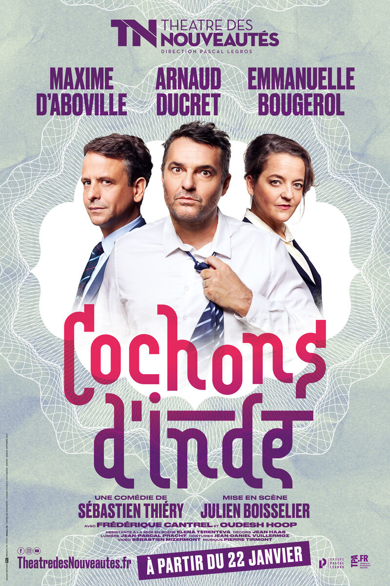 COCHONS D'INDE