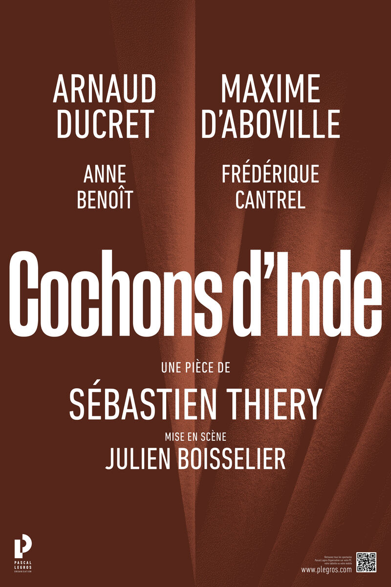 Affiche Spectacle Provisoire Cochons d'Inde